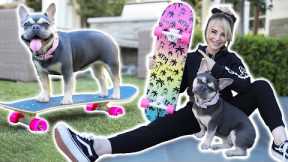 Just Me Teaching My Dog To Skateboard
