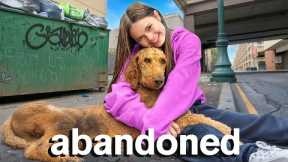 I Rescued a LOST DOG! Will I Keep Him?