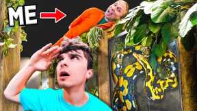 I Cheated At Hide And Seek At My Reptile Zoo!