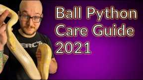 How to Care For A Ball Python in 2021