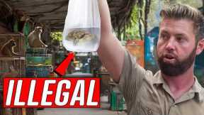 Undercover Inside an Illegal Exotic Animal Market
