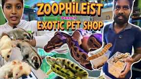 🐾 Zoophilist Exotic Pet in Chennai | Part 2 | Snakes, Sugar Gliders, Hamsters, Monster Fish & Birds 