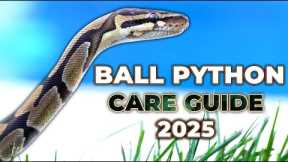 The NEW Ball Python Care Guide For Beginners