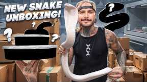 Unboxing NEW SNAKES from the Daytona Reptile Expo 2025