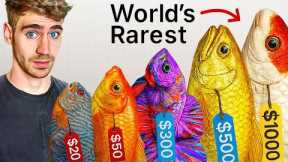Inside Asia's *RICHEST* Exotic Pet Marketplace!! ... (Tour) $$$