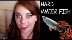 TOP 5 EASY FISH THAT ARE PERFECT FOR HARD WATER