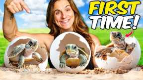 First Time Hatching Baby Turtles at Our Reptile Zoo!! (so cute)
