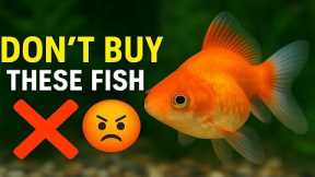 Top 7 Aquarium Fish You’ll Regret Buying |Avoid These Mistakes!
