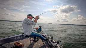 Use THIS Method to Catch More Species on ANY Lake