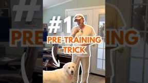 The One Thing I Do Before Every Dog Training Session That Works