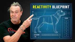 I Asked The Best Dog Trainer I Know How To Train a Reactive Dog - His Answer Blew My Mind.