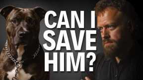I Took the Dog No One Wanted... Here’s What Happened