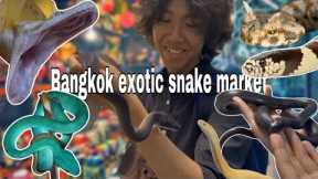 Let's check some exotic snakes|At the biggest exotic animal market in Southeast Asia 🐍