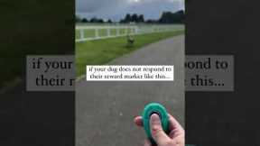 Let’s change the way you train ⬇️ Clicker training is a fantastic way to mark and reinforce