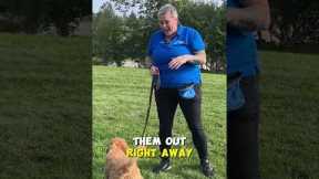 Puppy Potty Training Hack