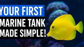 Beginner's Guide to Marine Fish Aquarium | Step-by-Step Saltwater Tank Setup