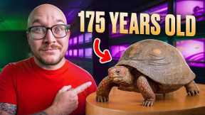 5 Reptiles That Never Die!