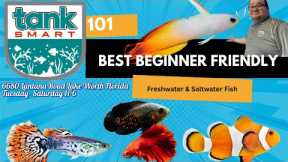 TankSmart 101 w/ Aqua Alex:  Beginner Friendly Freshwater & Saltwater Fish