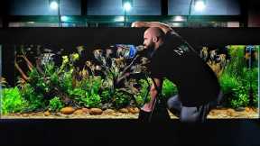 I Added Over 100 FISH into My Huge Ecosystem Aquarium