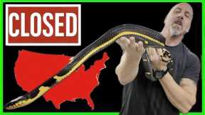 DM Exotics Is Closing Down in the U.S.A.