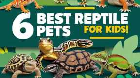 6 Best Reptile Pets for Kids