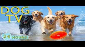 DOG TV: Video Anti-Anxiety Entertain for Dogs All Day When Home Alone - Best Relax Music for Dogs