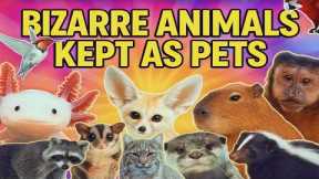 Bizarre Pets People Actually Own | Exotic & Unusual Animals You Can Keep as Pets