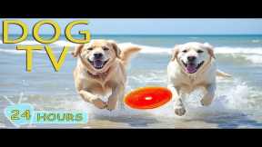 DOG TV: Video Relax All-Day for Dogs When Home Alone - Best Collection Music for Dogs