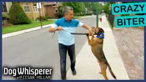 Aggressive Dog Turns On Owner | S3EP11 Full Episode | Dog Whisperer With Cesar Millan
