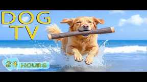 DOG TV: Best Entertain Videos & Happy Music for Dogs Relax When Home Alone - Relax Music for Dogs