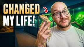 5 Reptiles That Changed My Life!