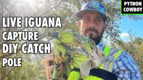 Florida Park Hires Me for Live Iguana Removal | DIY Catch Pole