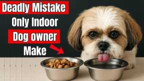 If You’re an Indoor Dog Owner, Stop Making THESE Deadly Mistakes ( Vets Warn )