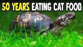 Turtle Lives on Kitchen Floor and Fed Cat Food for 50 Years... Turtle Horror Stories