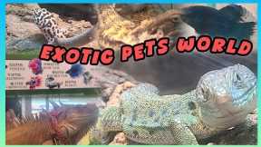 Exotic Pets World at Hopewell Mall #pets #exotic #wanchai #hopewellcenter #petlovers #fish #iguana 