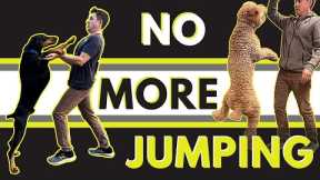 Super simple way to stop a dog from jumping.