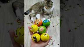 Balls 😁🐱 Cat Barsik Reverse Video #funnyreversecat #cat #catfunny #funny #funnyreverse #kitten
