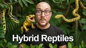 5 INSANE Reptile Hybrids YOU Can Buy Right Now!