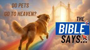 Do Our Pets Go to Heaven? What Does The Bible Say (Christian Comfort for Pet Loss). Stories of Faith