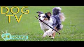 DOG TV: Video Entertain & Relax Best for Dogs While You’re Away Home - Comfort All Day Music for Dog