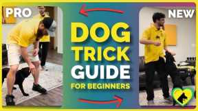 Dog Trick Tutorial for First-Timers | Step-by-Step Guide