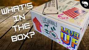 I Don’t Do Unboxings, but for THIS Box, I’ll Make an Exception!