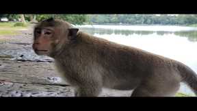 Kawaki must change please