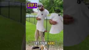 Stop Dog Pulling on Leash Fast | Step-by-Step Guide