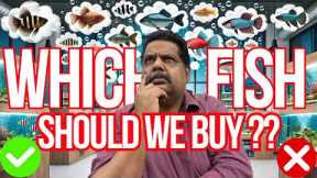 Which is BEST FISH to BUY For My FISH TANK ? AQUARIUM FISH FAQ