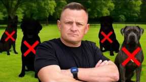 3 Dog Breeds We NEVER Recommend! - YouTube