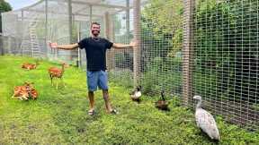 We Have EXCITING News On The RANCH!! 