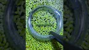 🐠 How I feed my Betta Fish