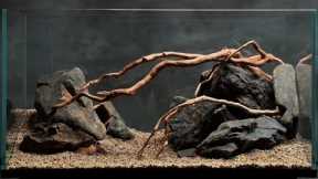 professional home freshwater fish tank setup, and the best natural sand and rock aquarium 