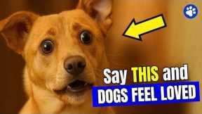 6 Words That Make Your Dog Know You Love Them (Instantly!) | Smart Dog